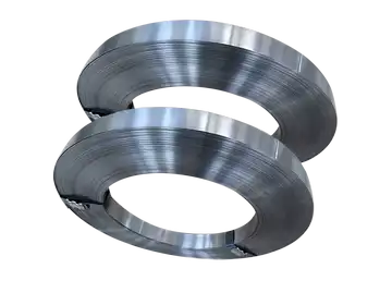 Medical Spring Steel Strips​